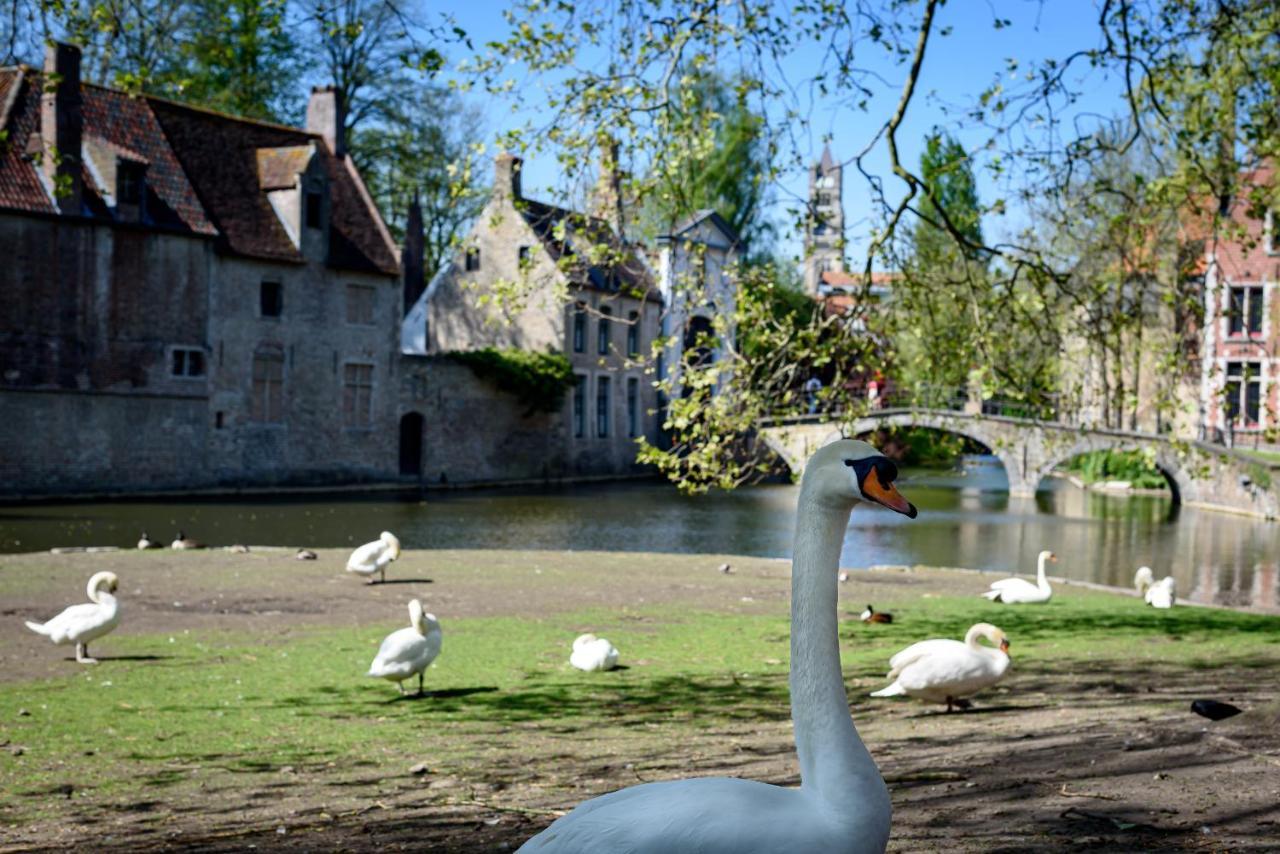 Haven 7 Bed & Breakfast Bruges Luaran gambar